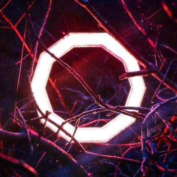 LP Hybrid Minds: Reflections