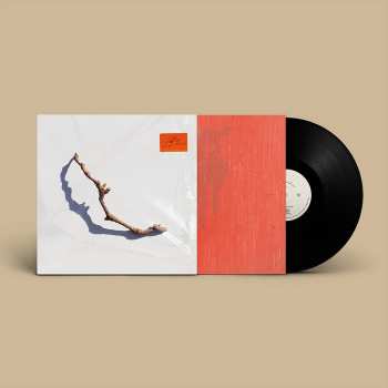 LP PJ Harvey: I Inside The Old Year Dying