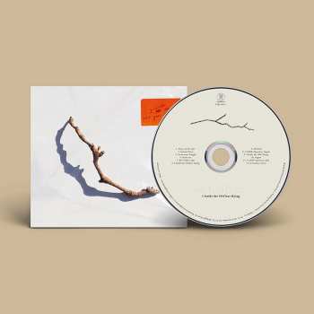 CD PJ Harvey: I Inside the Old Year Dying