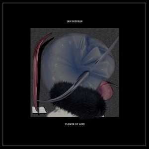 LP Ian Drennan: Flower Of Love