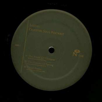 2LP Iasos: Celestial Soul Portrait
