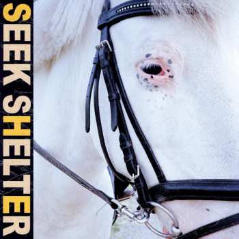 Album Iceage: Seek Shelter