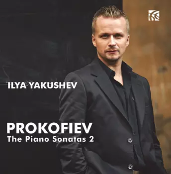 The Piano Sonatas 2