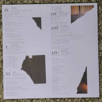 2LP Puma Blue: In Praise Of Shadows LTD | CLR