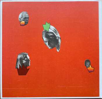 2LP/CD/DVD In The Country: Sounds And Sights