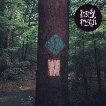 Indriði Arnar Ingólfsson: Makril