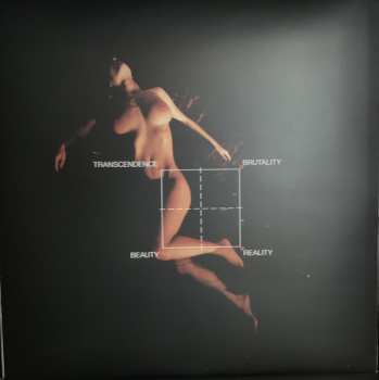 LP These New Puritans: Inside The Rose