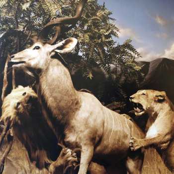 2LP Interpol: Our Love To Admire