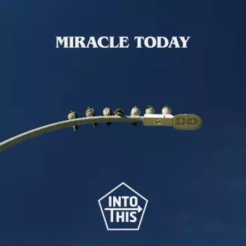 Into This: Miracle Today
