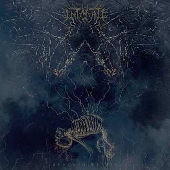LP Intonate: Severed Within CLR