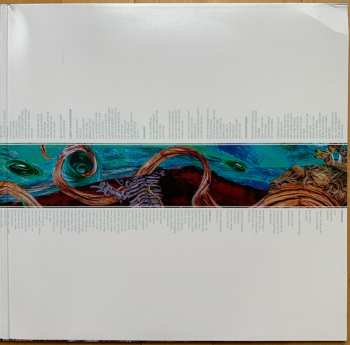 LP Intronaut: Fluid Existential Inversions LTD | NUM | CLR