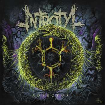 CD Introtyl: Adfectus