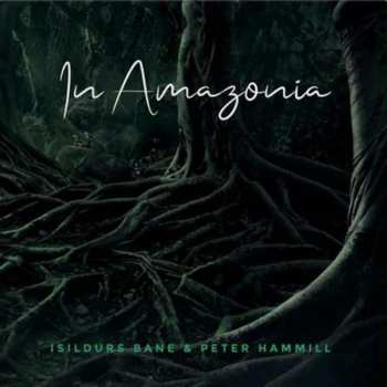 Album Peter Hammill: In Amazonia