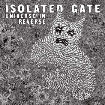 CD Isolated Gate: Universe In Reverse LTD