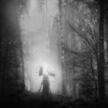 LP Iterum Nata: From The Infinite Light