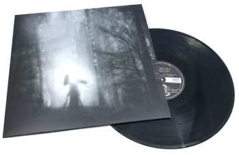 LP Iterum Nata: From The Infinite Light