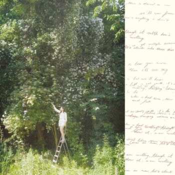 Album Ivy Falls: Sense & Nonsense