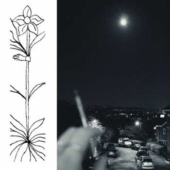 Album Jabu: A Soft and Gatherable Star