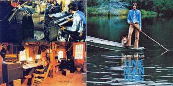 CD James Taylor: One Man Dog