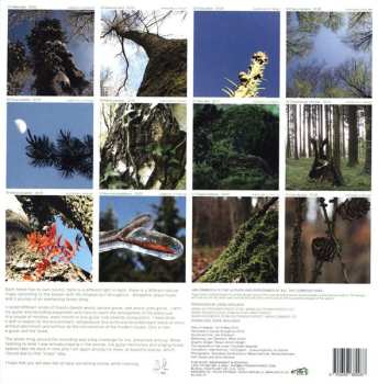 LP Jan Žamboch: Guitar & Forest