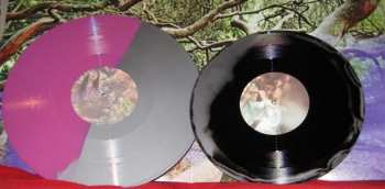LP/EP Janina Angel Bath: Gypsy Woman LTD | CLR