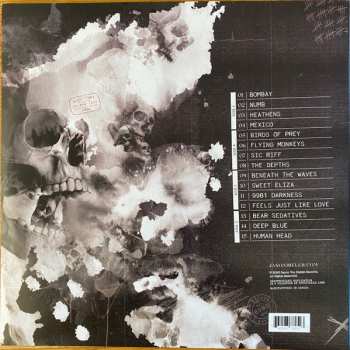 2LP Jason Bieler And The Baron Von Bielski Orchestra: Postcards From The Asylum