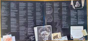 2LP Jason Bieler And The Baron Von Bielski Orchestra: Postcards From The Asylum