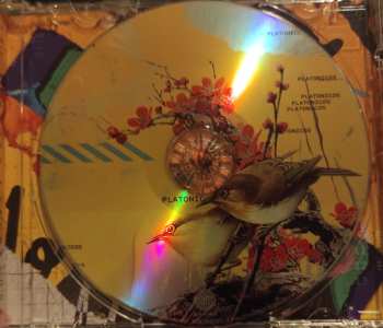 CD Jay Wheeler: Platónicos