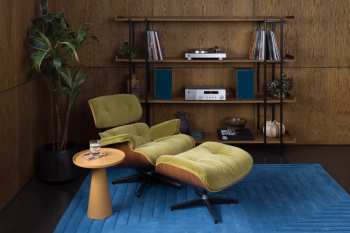 Audiotechnika JBL TT350 Ořech/Stříbrná