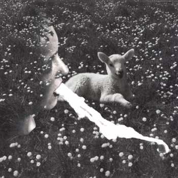 Album Jealous Yellow: Czech Vampires