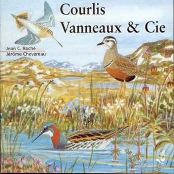 CD Jean C. Roché: Courlis, Vanneaux & Cie