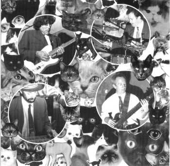 CD Jim Campilongo: Jim Campilongo And The 10 Gallon Cats