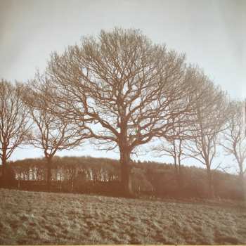 LP Jim Ghedi: A Hymn For Ancient Land