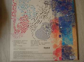 LP Jimi Goodwin: Odludek