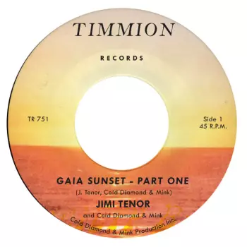 Jimi Tenor: Gaia Sunset