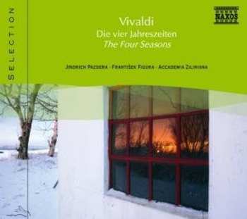 Album Accademia Ziliniana: Vivaldi - The Four Seasons