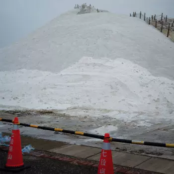 Jing: Artificial Salvation