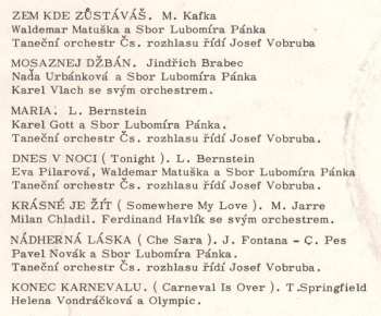 LP Jiří Aplt: Zem, Kde Zůstáváš (Písně A Texty Jiřího Aplta)