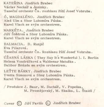 LP Jiří Aplt: Zem, Kde Zůstáváš (Písně A Texty Jiřího Aplta)