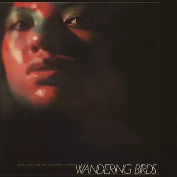 Wandering Birds
