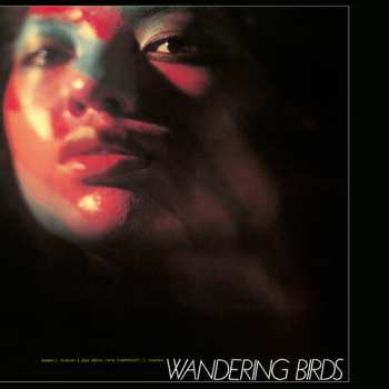 LP Jiro Inagaki & Soul Media: Wandering Birds 女友達 CLR | LTD