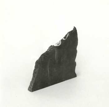 Album Jlin: Dark Energy 