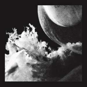 LP Jlin: Embryo