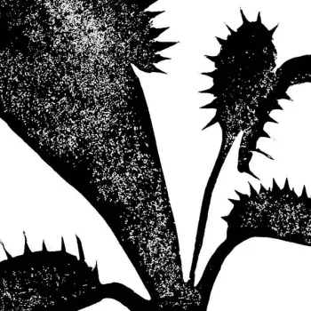 Samuel Rohrer: The River