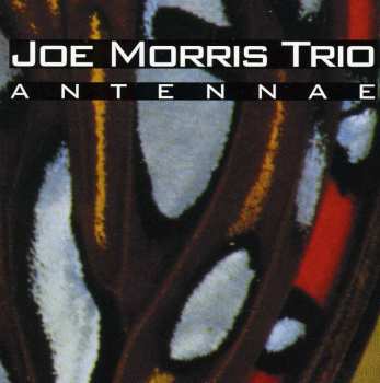 CD Joe Morris Trio: Antennae