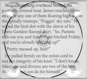 LP Joe Pernice: It Feels So Good When I Stop