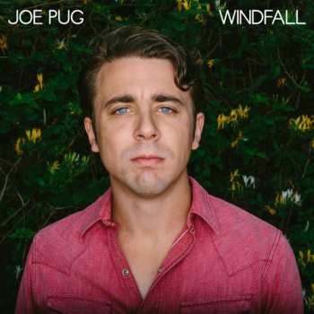 CD Joe Pug: Windfall