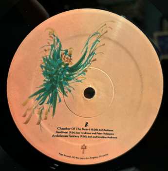 LP Joel Andrews: Paradise Bird