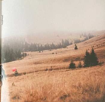 CD Joel Brandenstein: Frei