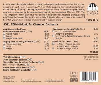 CD The Slovak National Symphony Orchestra: Music For Chamber Orchestra